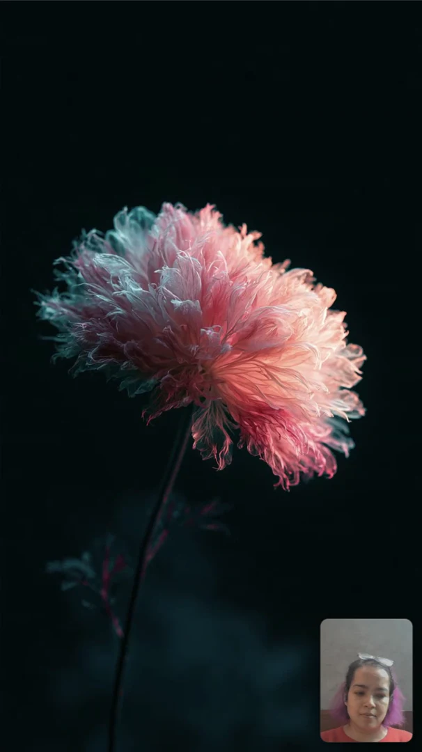 A pink flower mid-bloom on a dark stage, from (e)motion